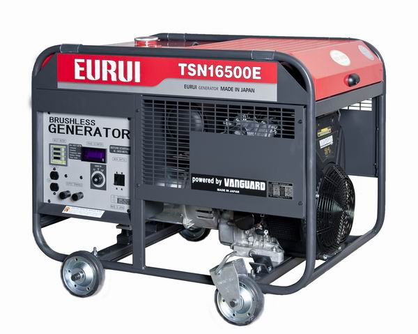 ձʹʵ෢TSN16500E