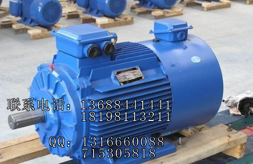 콭Y2ϵY2 355M1-160KW-6첽