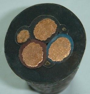 õ CEFR 0.6/1KV 8*10