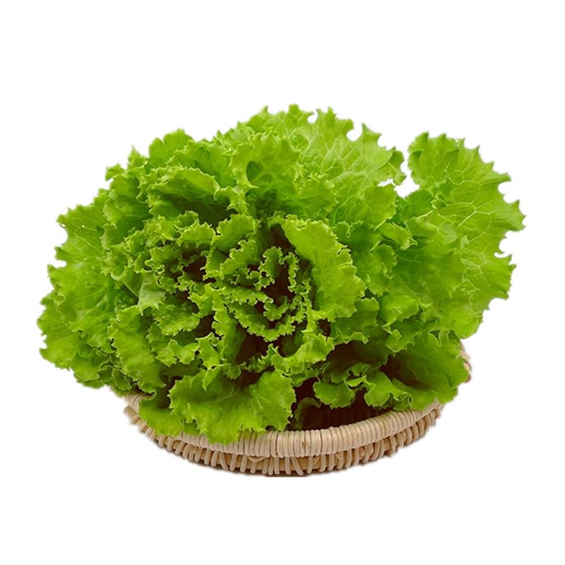 ɯʻҶɫ߲