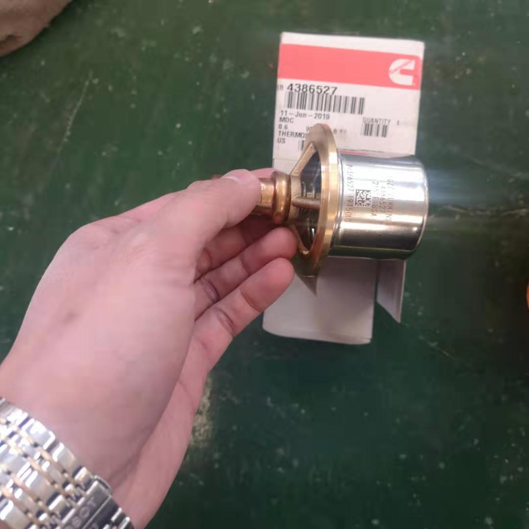 ݹ̳ѹD4921517 ˹C4952629