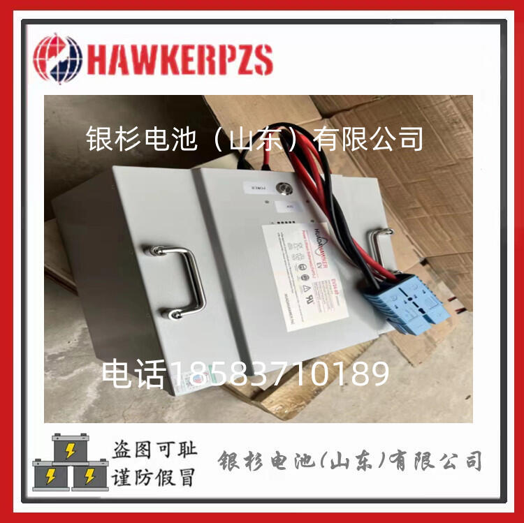 Ӣ﮵EV48-200ʱһǣǦƷʸ48v200AH