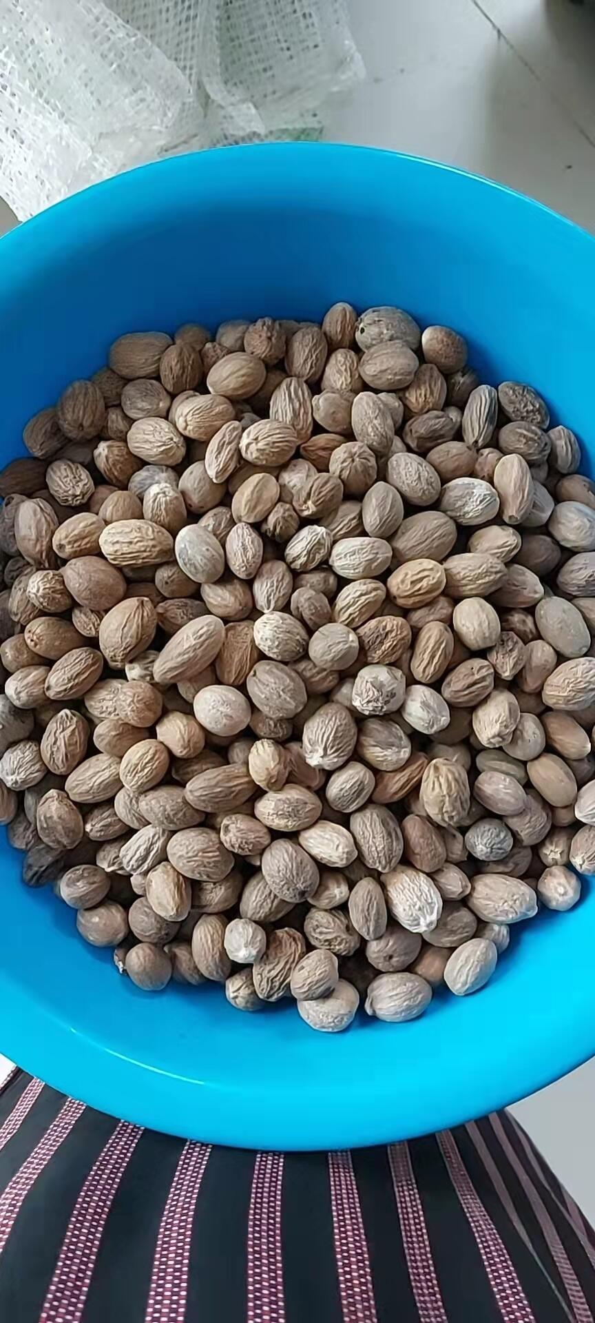 印度尼西亚豆蔻进口报关时效