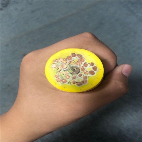 綯˻̣