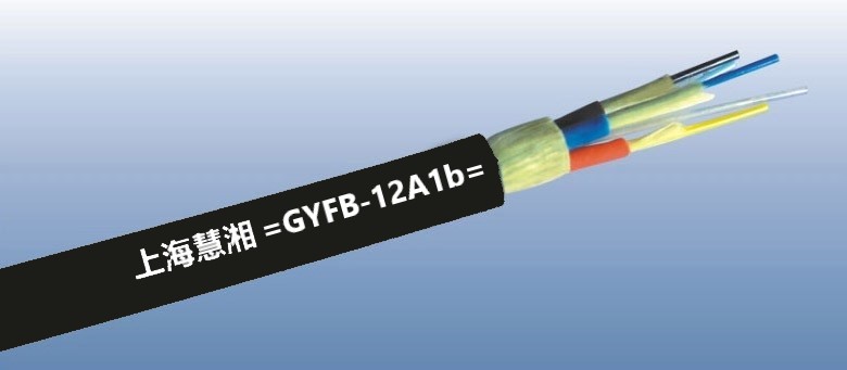 12оģקGYFB-12A1bҷԹ