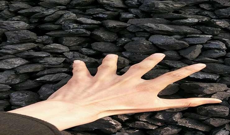 ӭ̩úϳֱ