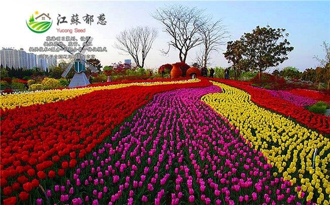 ˮл滮