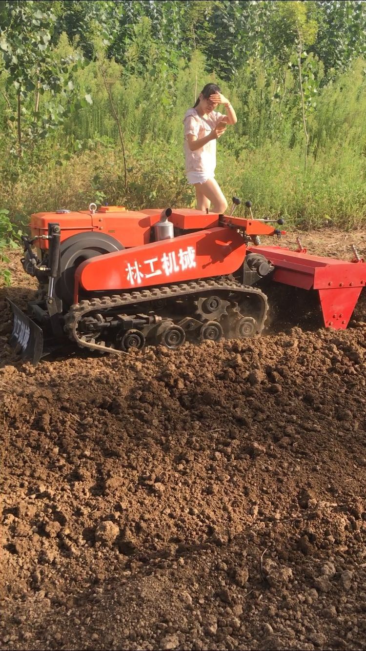 :첼Ĵֹ
