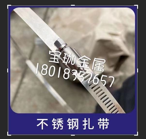 ľ˹19MM۸