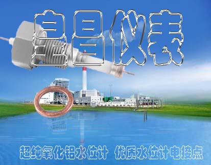 ¯缫ͺDJM2015-115¯ͲˮλƵ缫