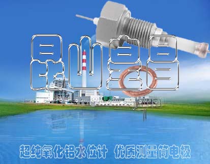ʯīˮλ缫RDJ2000EƵ缫