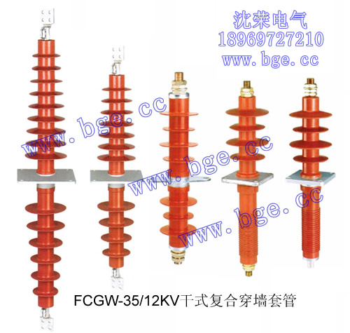 FCGW12-35KVʽϴǽ׹