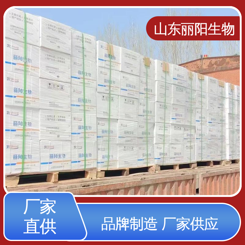 ٽþ۹Ȱ10ϳרLIYANG