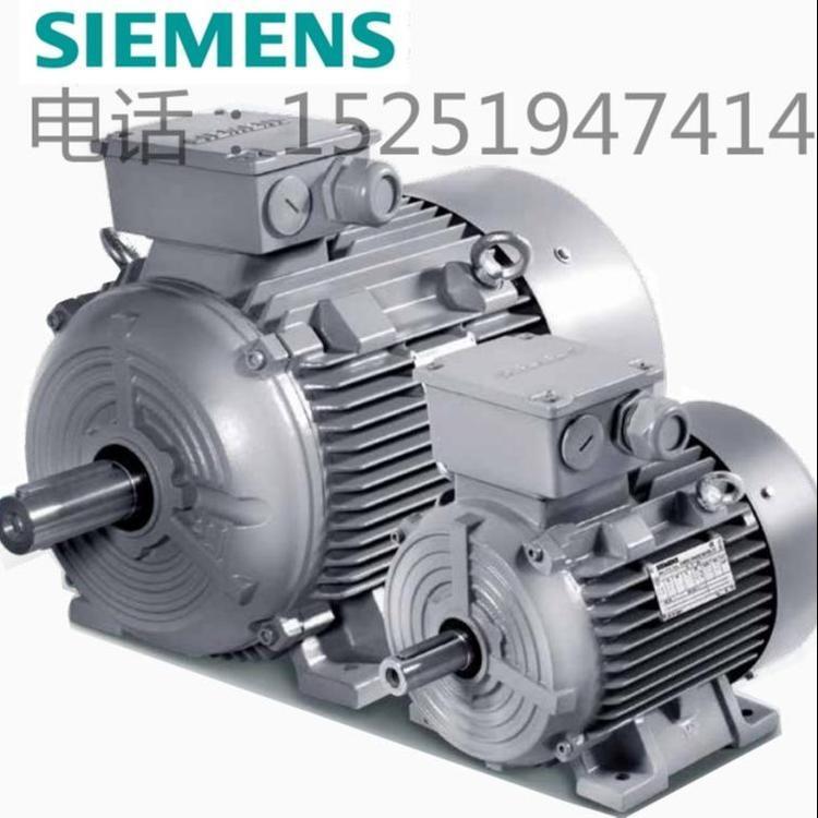 SiemensӵѹSIMOTICS1LE0ϵǵЧIE2