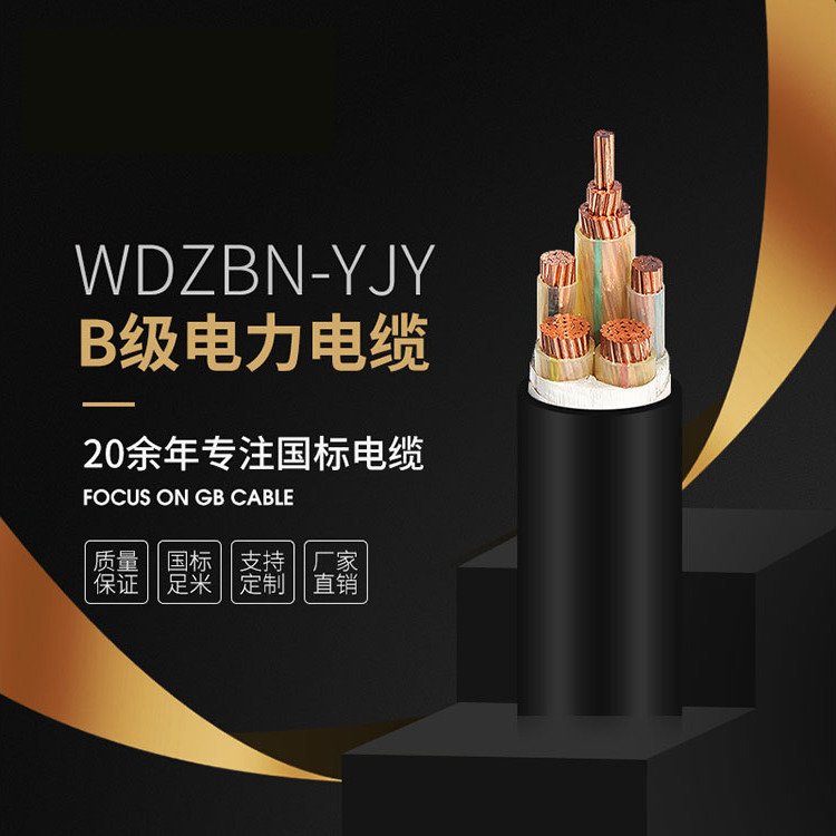 WDZBN-YJY±ȼߵ¹Ʒʸȫ